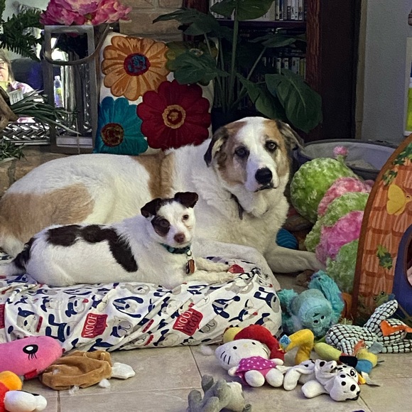 Enjoy the Time of your Life - Picture 3 of 4